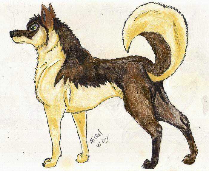 Raider: Balto's Father