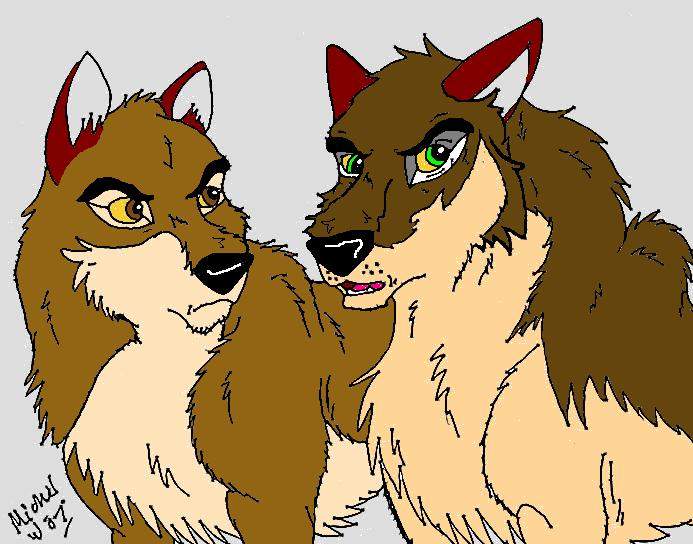 Balto and Raider