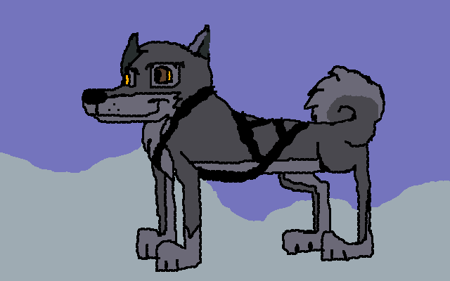 Balto in Harness
