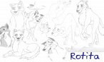 rotita