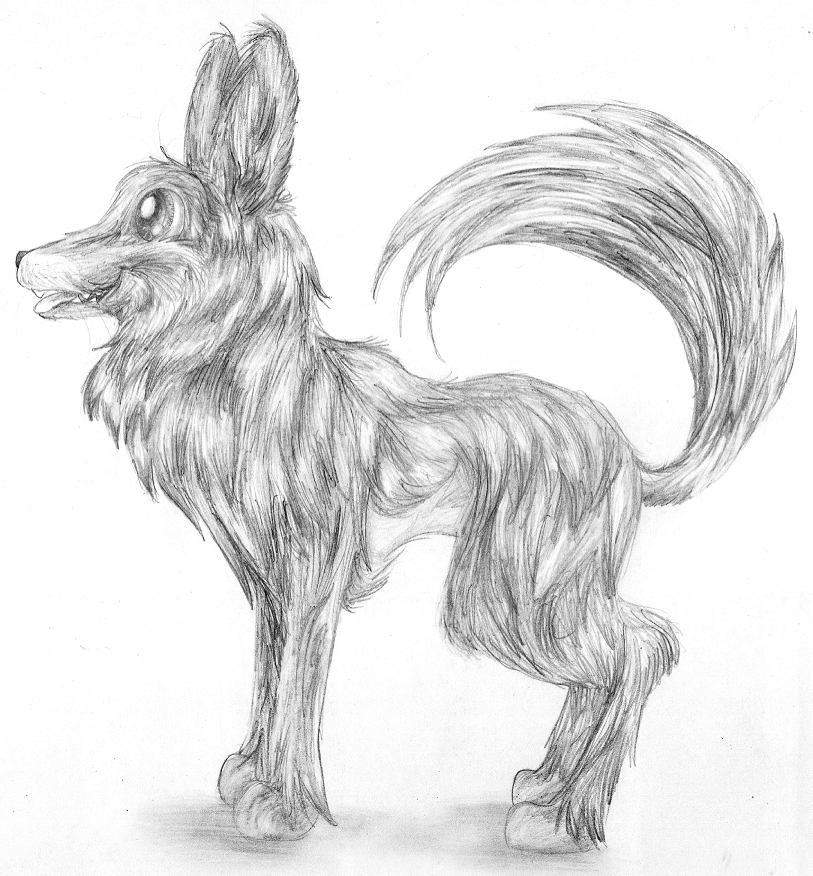 Some Critter