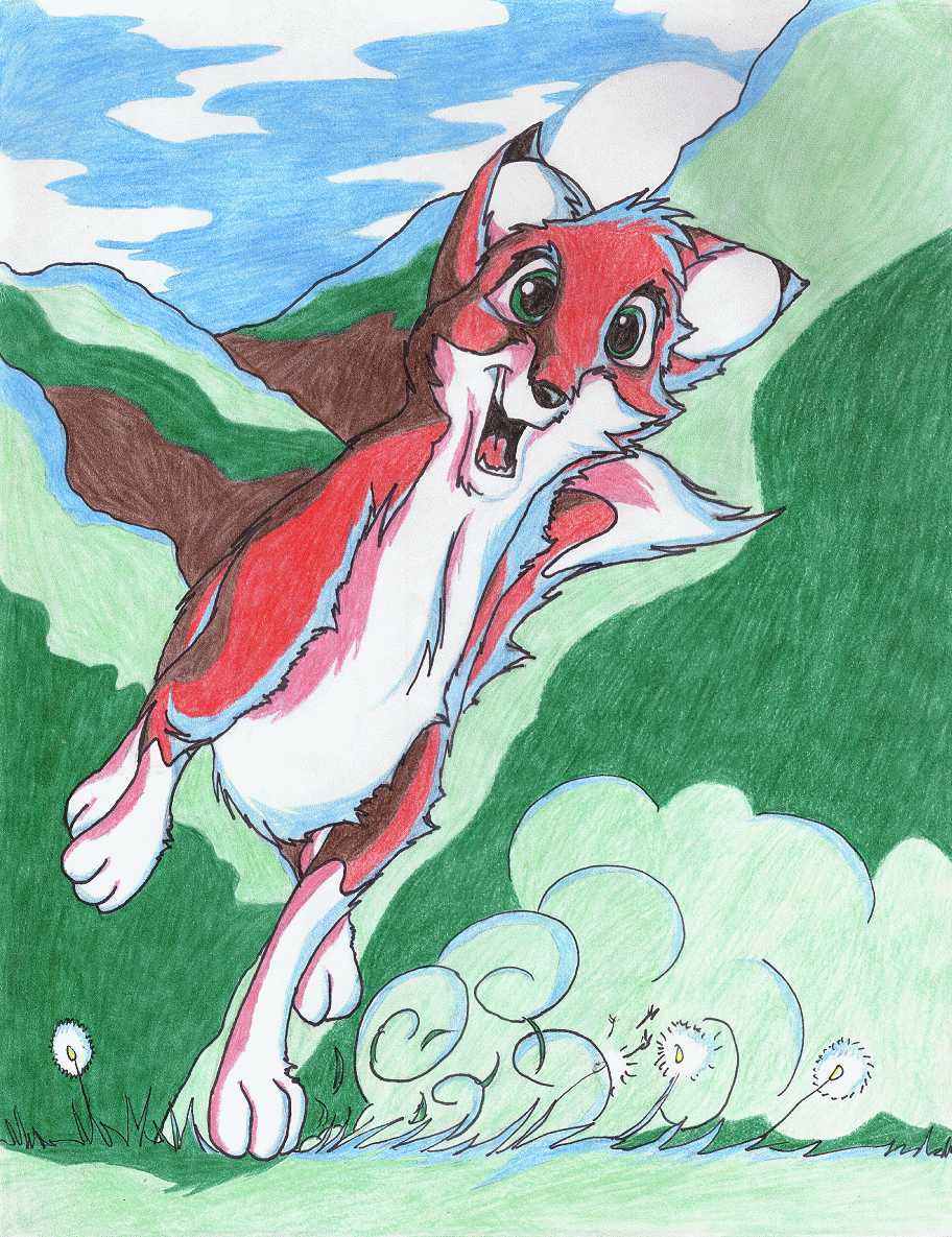 Fox Running