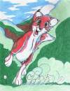 Fox Running