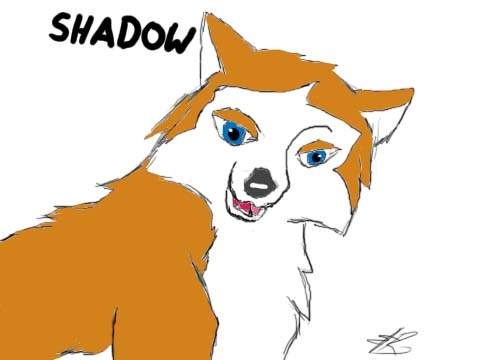 Shadow