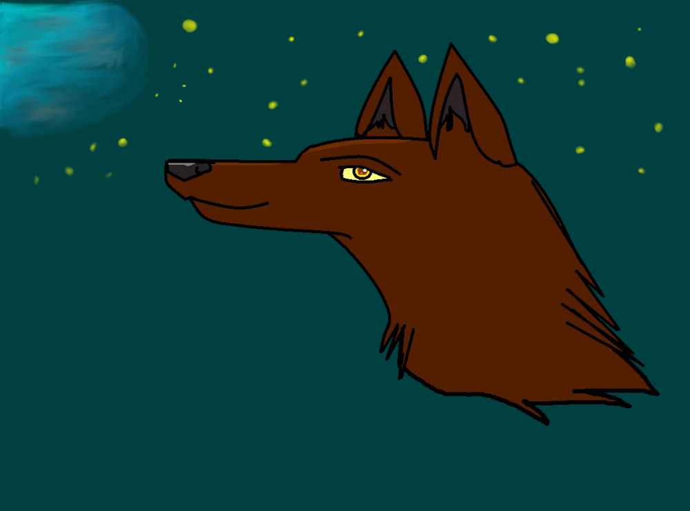 Starry Night