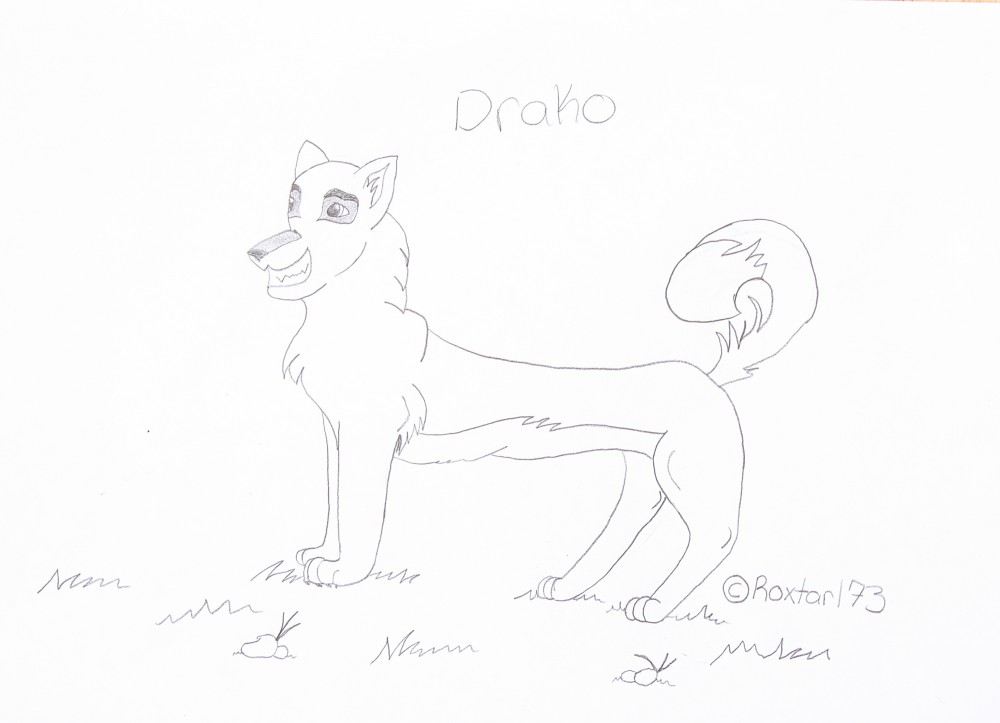 Meet Drako