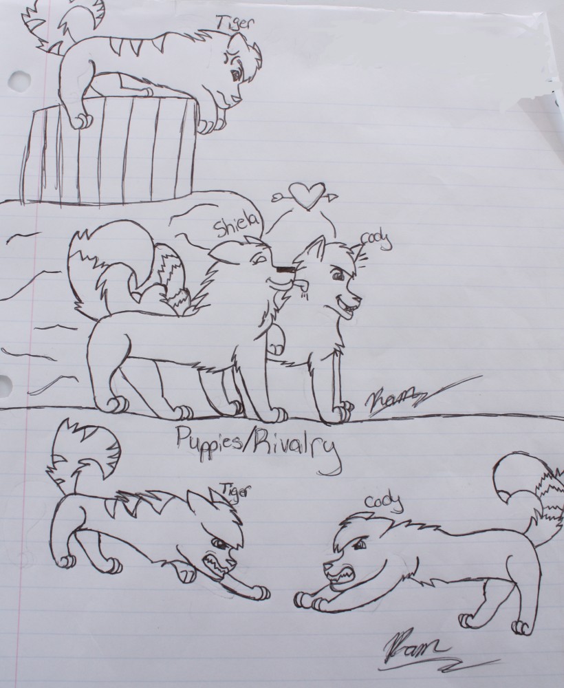 Puppies