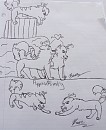 Puppies