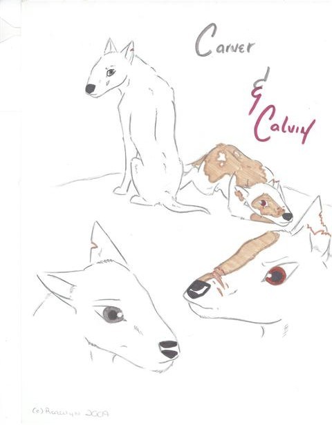 The Terriers of France