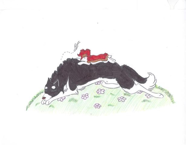 Dog Days of Love