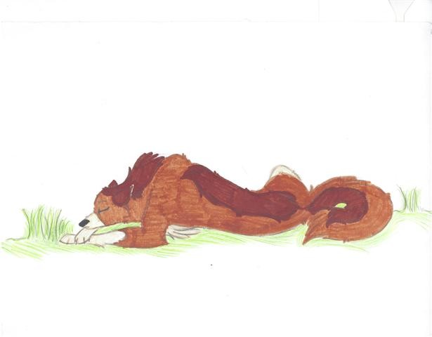 Peaceful One