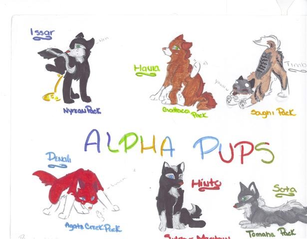 Alpha Pups