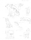 Doggez