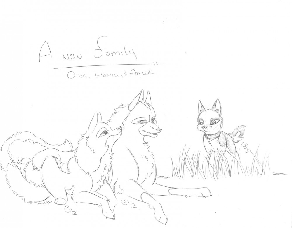 A New Family