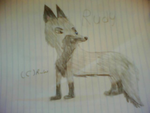 My FURsona Rudy.