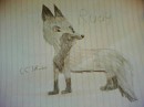 My FURsona Rudy.