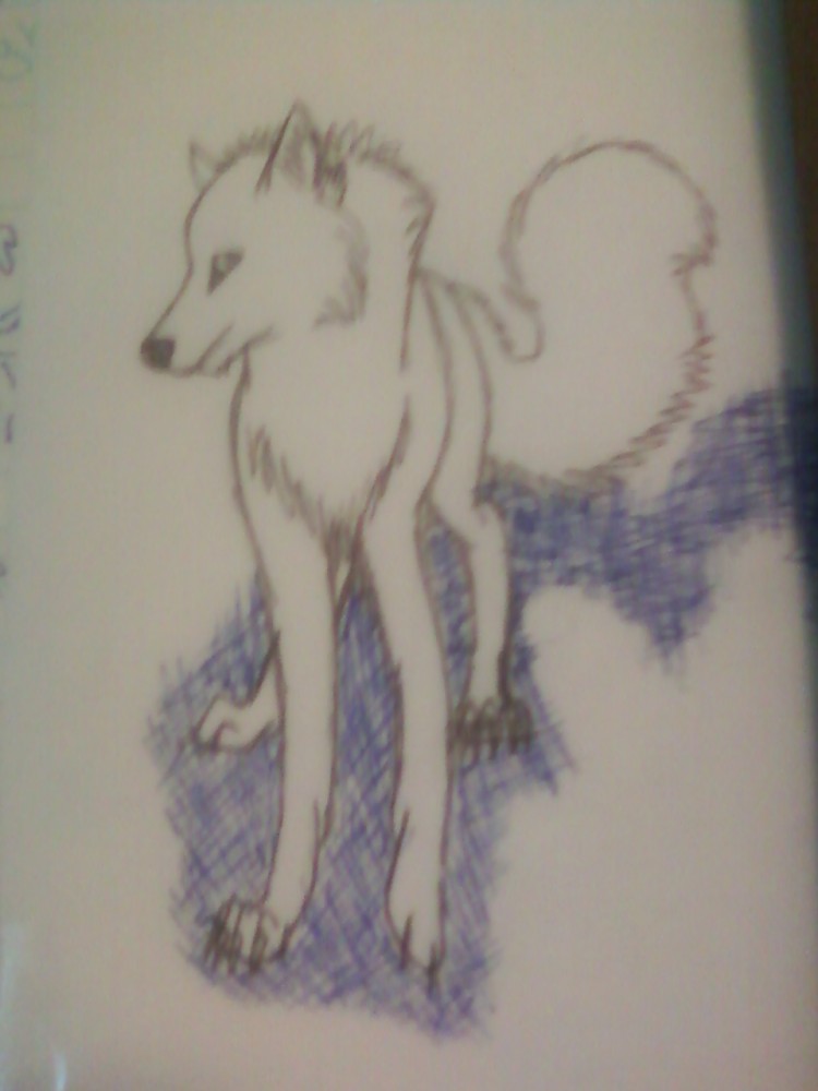 The White Wolf
