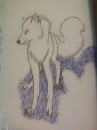 The White Wolf
