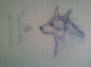 basic drawing of white wolf in pen