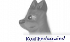 runlikedaawind