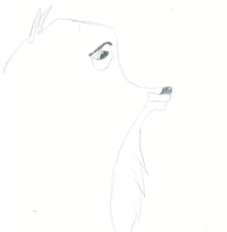 Large Balto Head