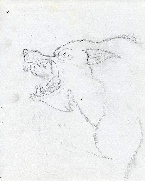 Snarling Wolf
