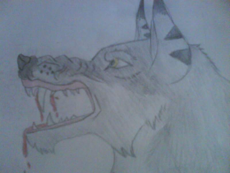 Slayer