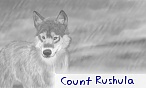 Rush