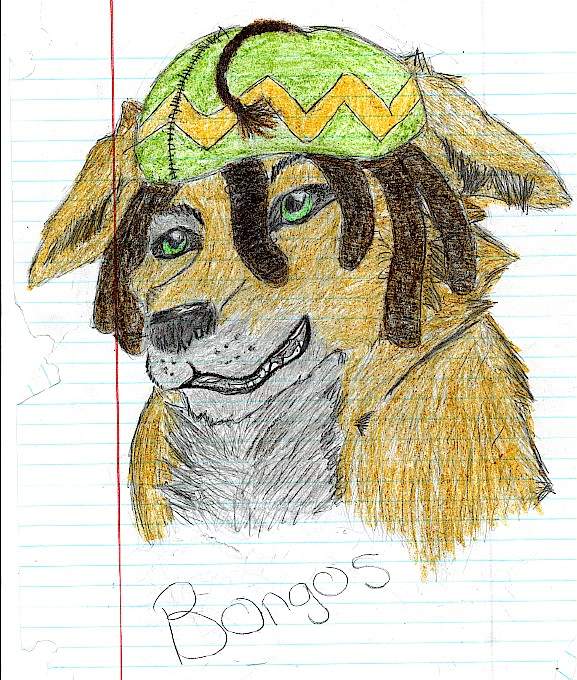 Bongos for Dewey!