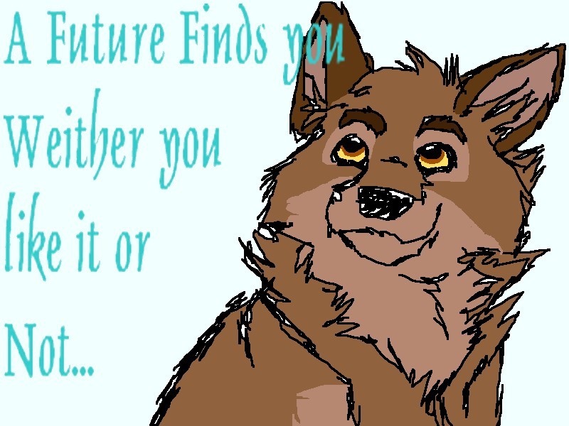 Follow your true future