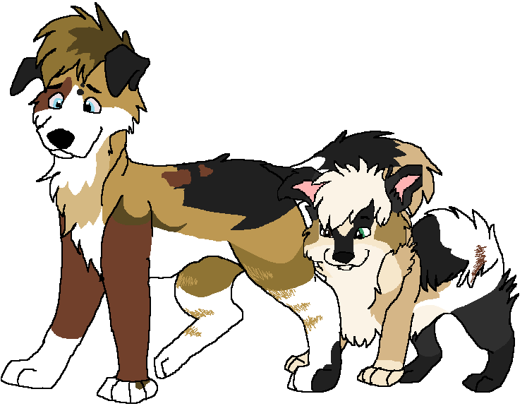 Sibs