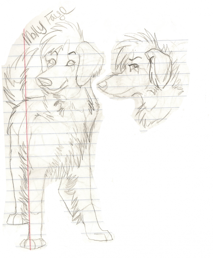 Sketch- Molly