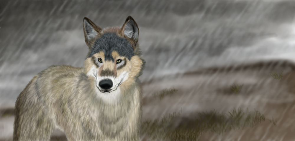 Realism Practice