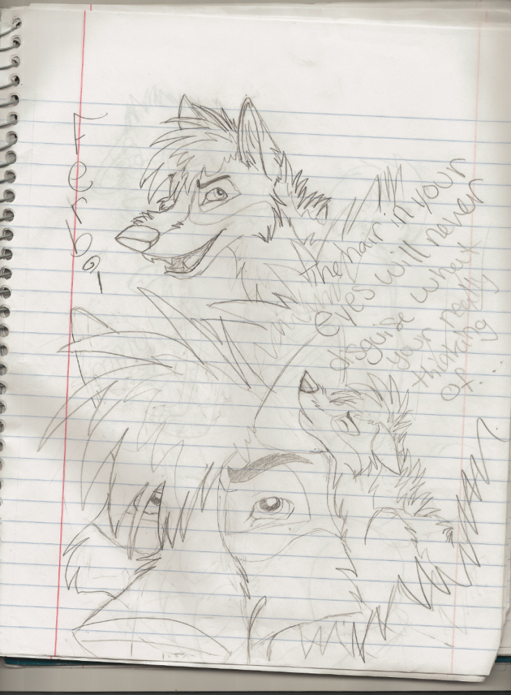 Ferbi doodles 