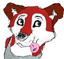 Harvey