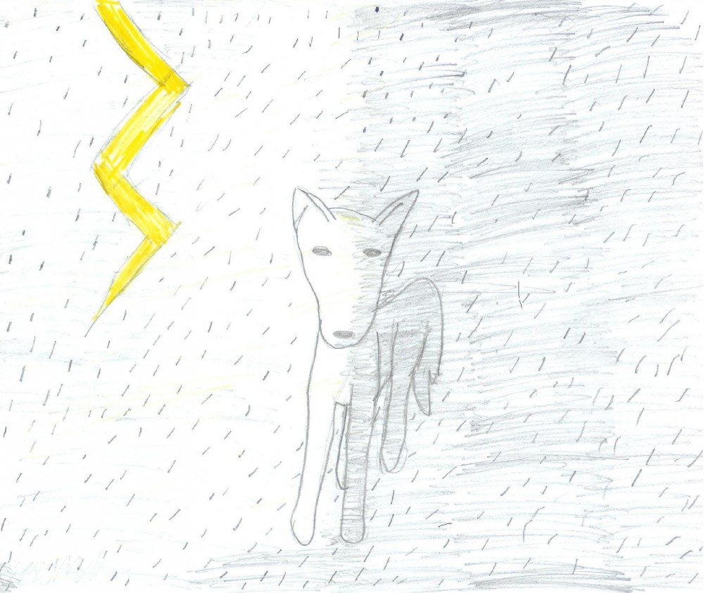 Thunder Storm