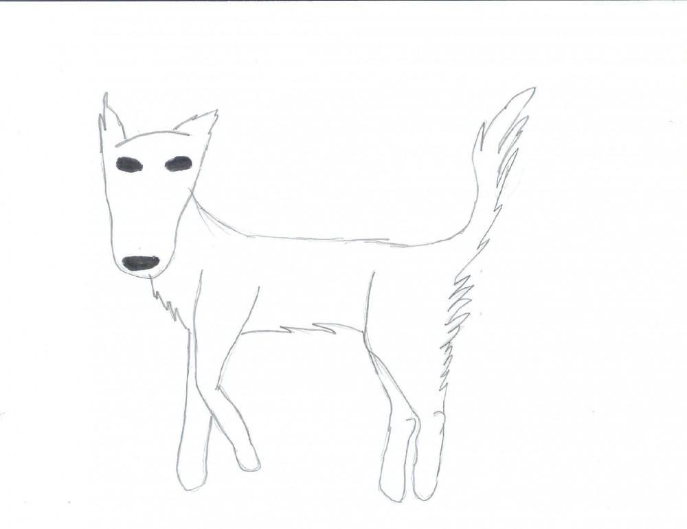  Aniu