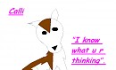 I know what u r thinking..