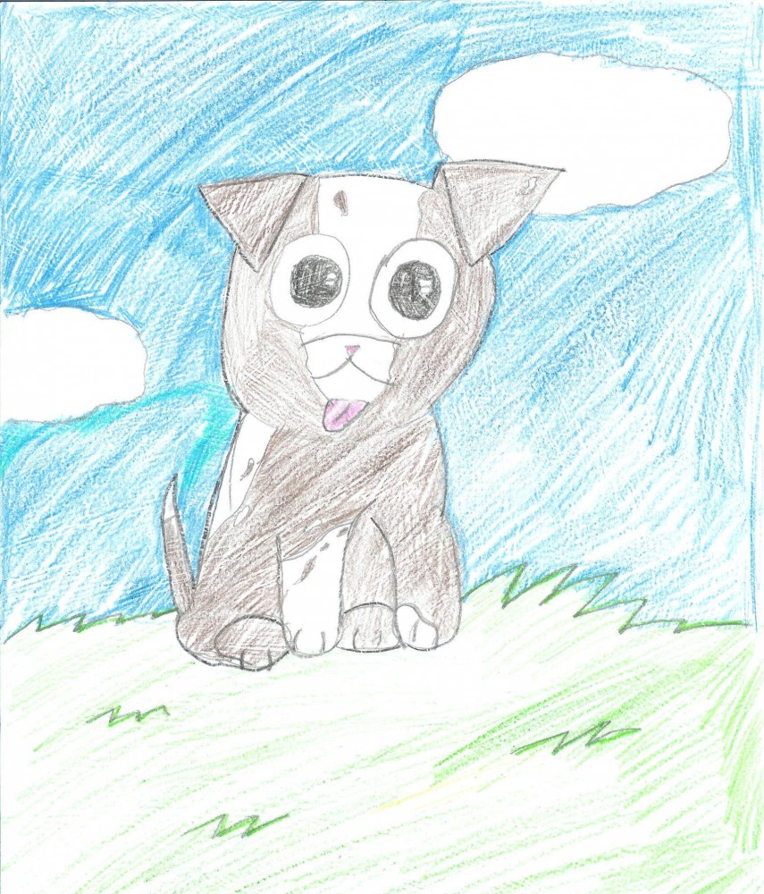 Cute Puppy