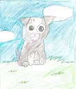 Cute Puppy
