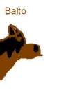 balto