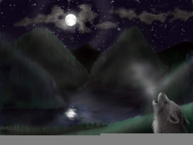Midnight Howl
