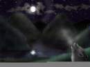 Midnight Howl
