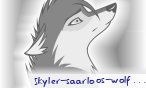 Skyler_saarloos_wolfdog
