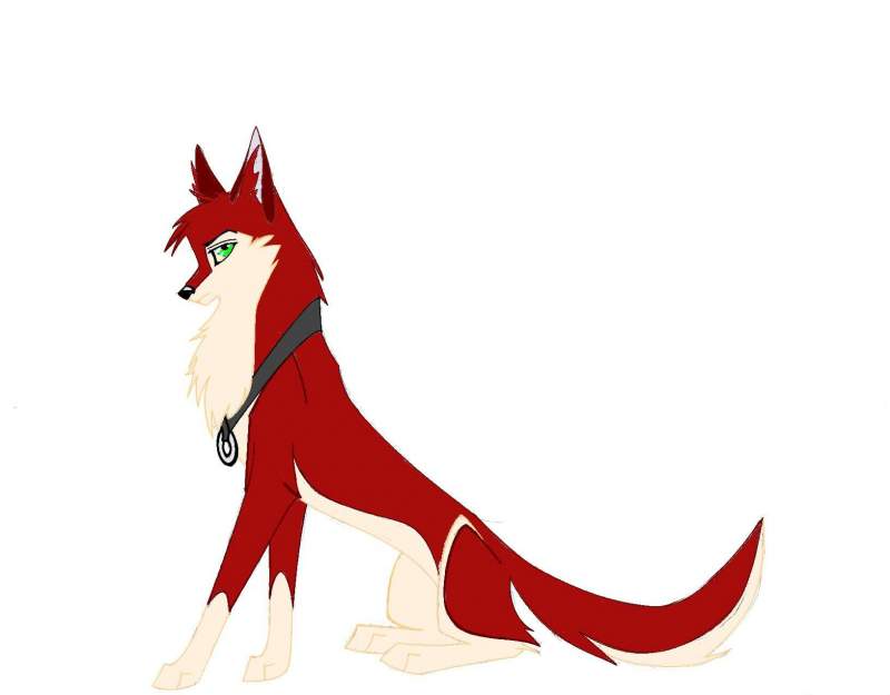 Hunter as a puppy