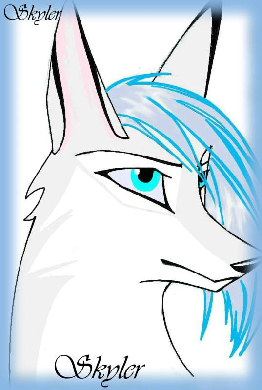 My avatar