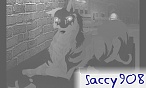 saccy908