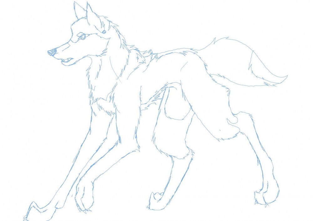 Sketch?