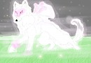 Angel wolf...