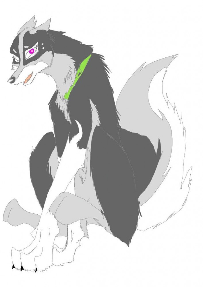 Trista with green collar